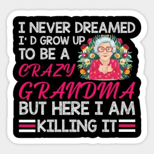 I Never Dreamed I'd Grow Up To Be A Crazy Grandma Sticker